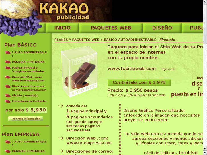 www.kakaopublicidad.com