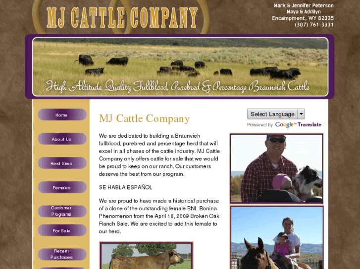 www.mjcattle.com