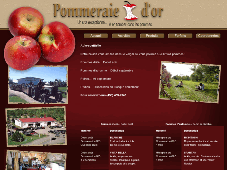 www.pommeraiedor.com