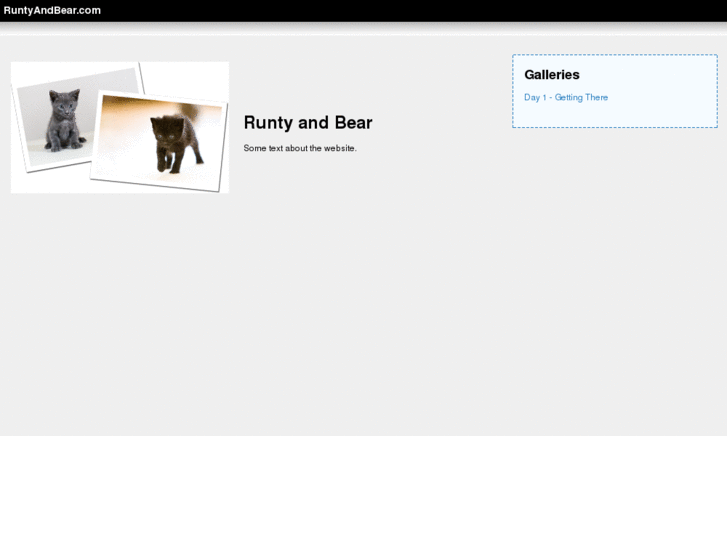 www.runtyandbear.com