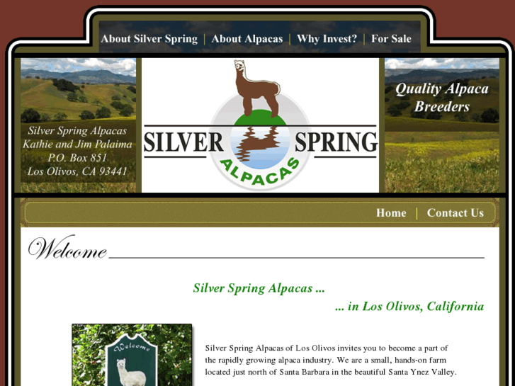 www.silverspringalpacas.com