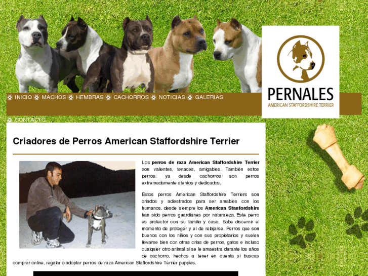 www.pernales.es