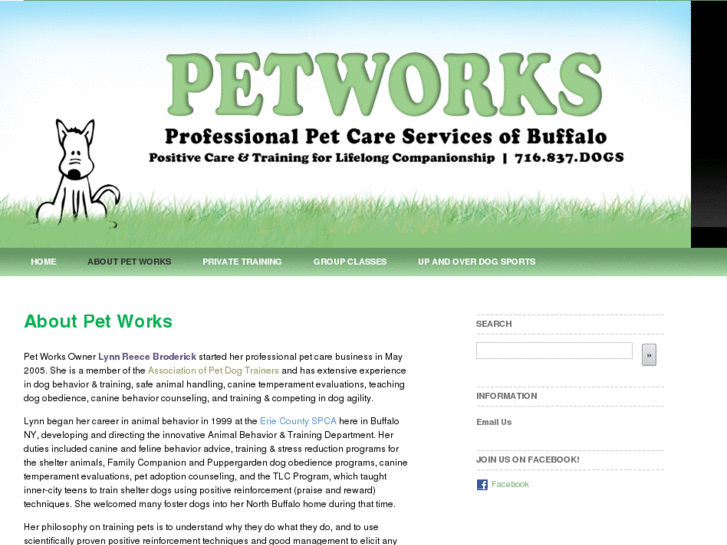 www.petworksbuffalo.com