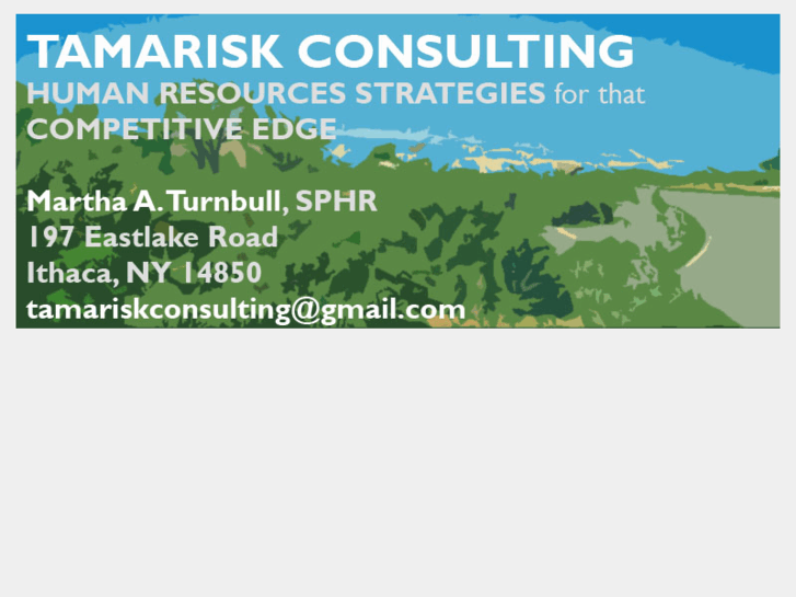 www.tamariskconsulting.com