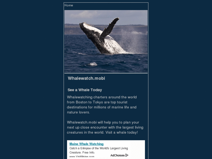 www.whalewatch.mobi