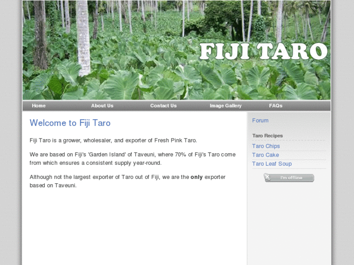 www.fijitaro.com