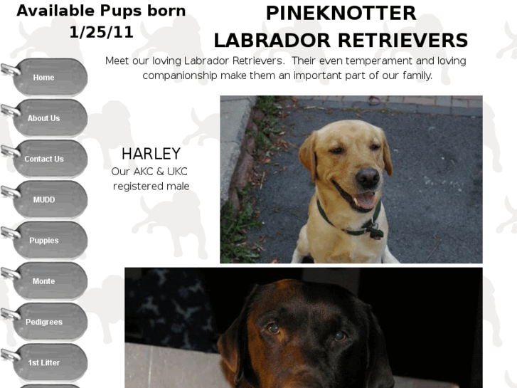 www.pineknotterlabradors.com