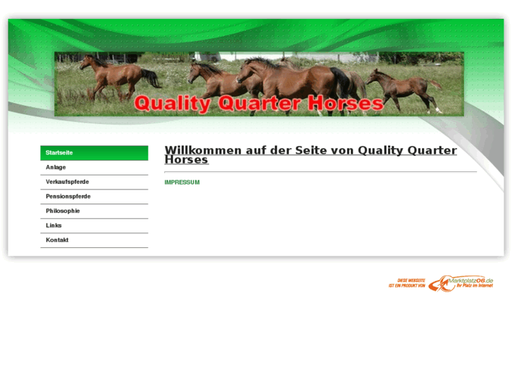 www.quality-quarter-horses.de