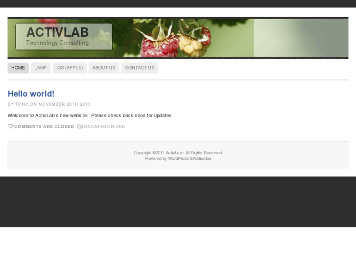 www.activlab.com