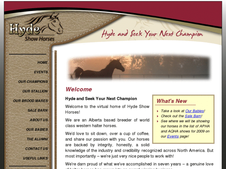 www.hydeshowhorses.com