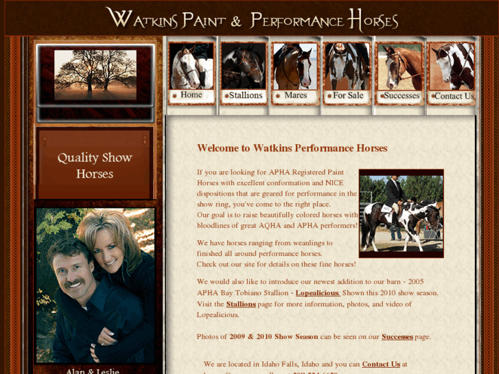 www.watkinsperformancehorses.com