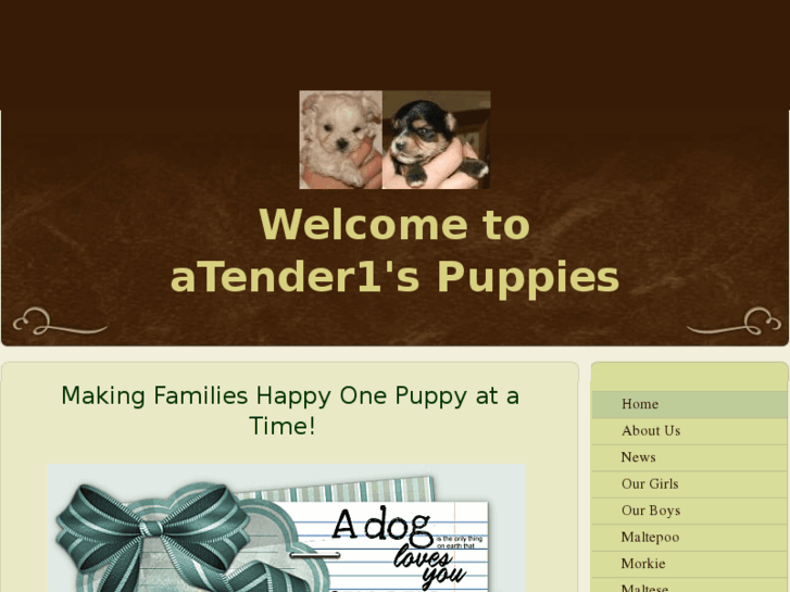 www.atender1spuppies.com