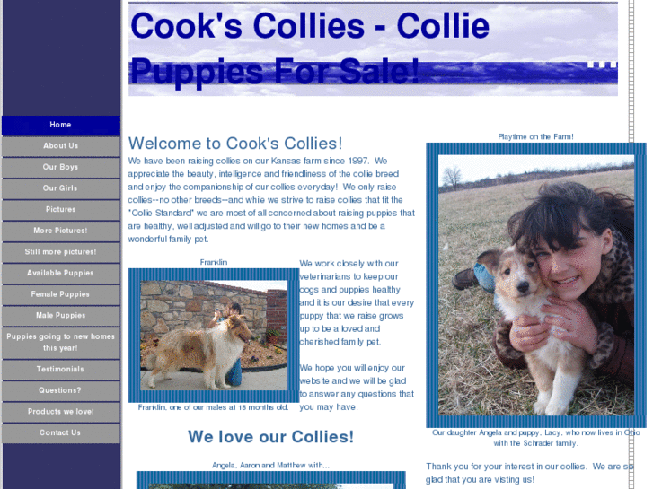 www.collie-puppies.com