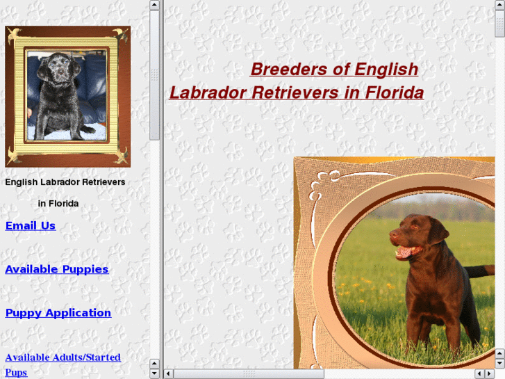 www.labtopia.net
