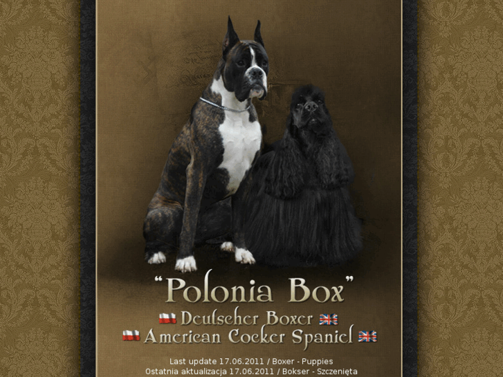 www.poloniabox.com