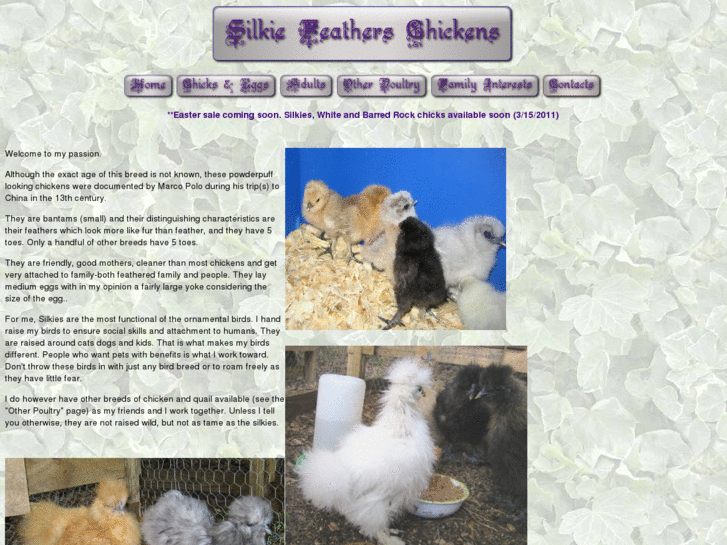 www.silkiefeathers.com