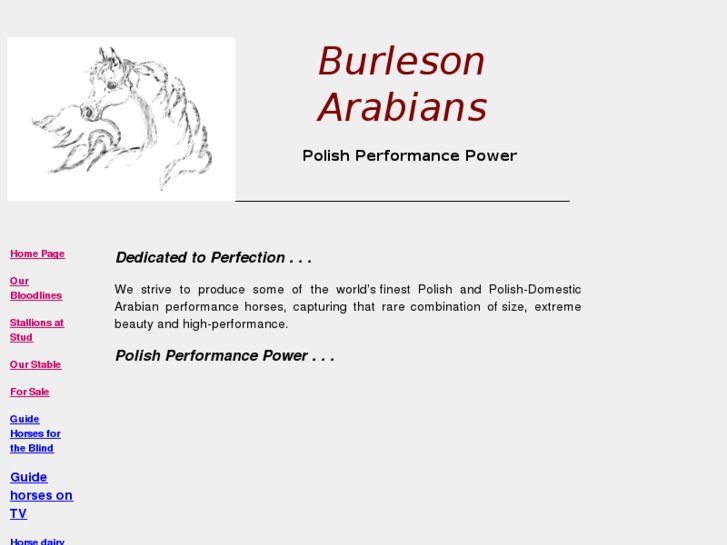 www.burleson-arabians.com