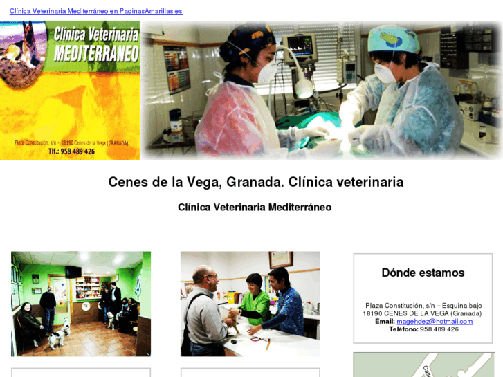 www.clinicaveterinariamediterraneo.com