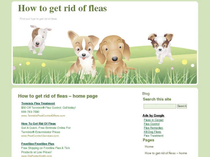 www.how-to-get-rid-of-fleas.com