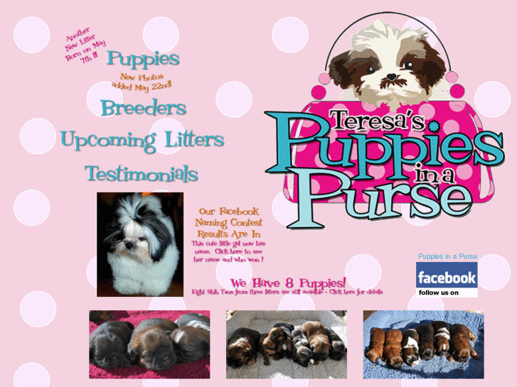 www.puppiesinapurse.com