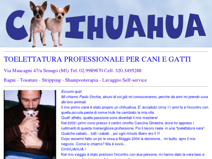 www.chihuahuagroom.com