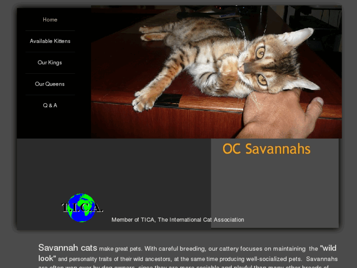 www.ocsavannah.com