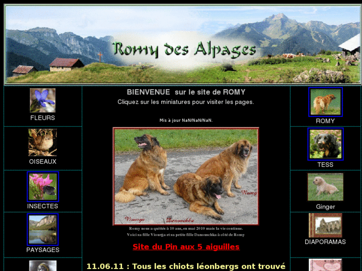 www.romy-des-alpages.com