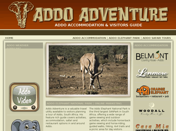 www.addoadventure.com