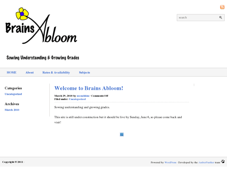 www.brainsabloom.com