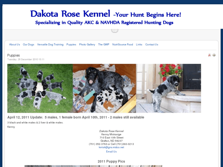 www.dakotarosekennel.com