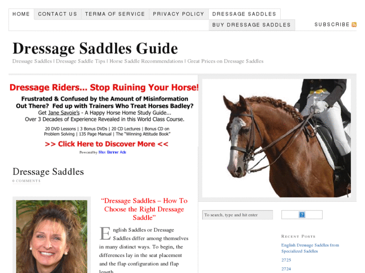 www.dressagesaddlesguide.com