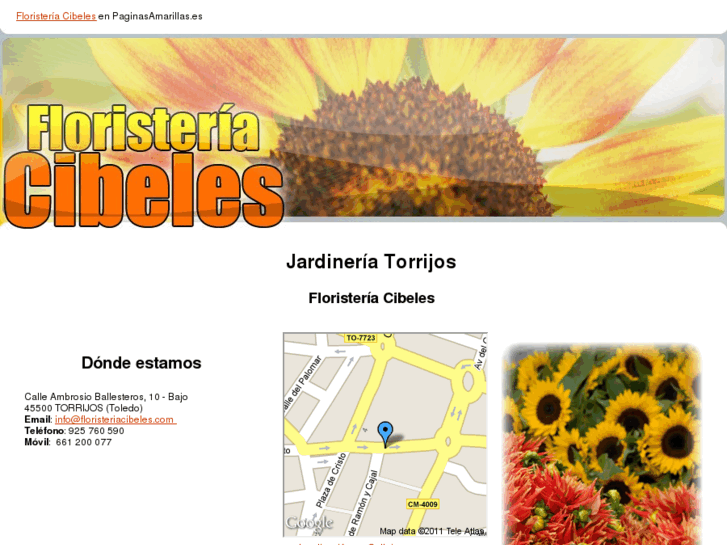 www.floristeriacibeles.com