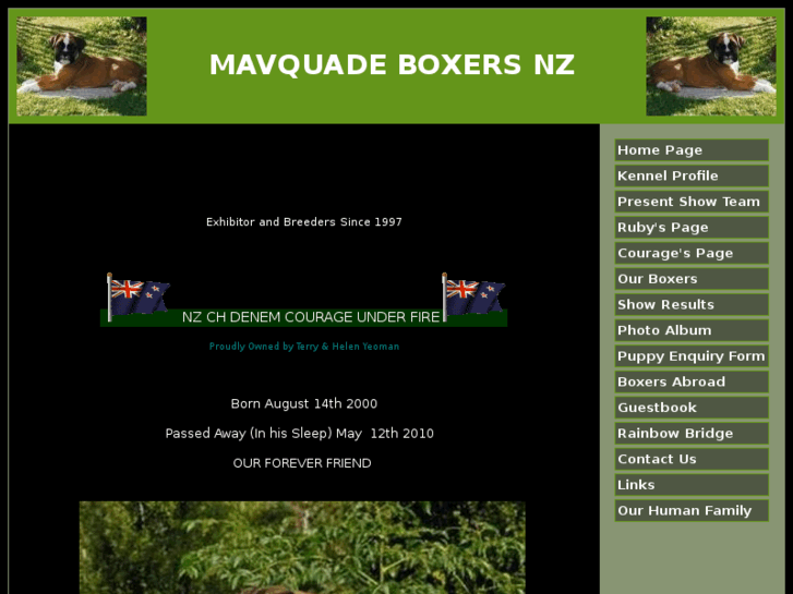 www.mavquadeboxers.com