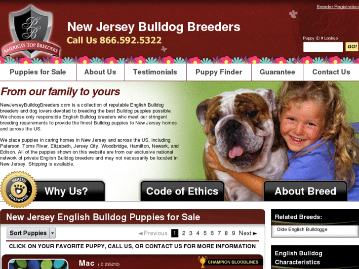 www.newjerseybulldogbreeders.com