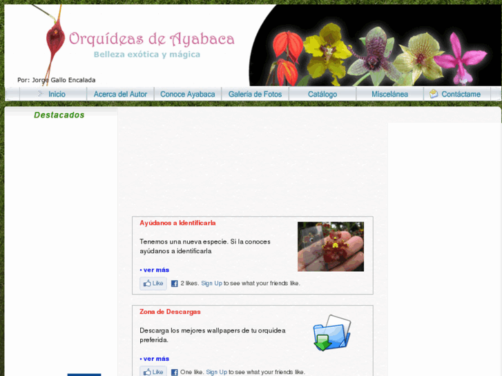 www.orquideasdeayabaca.com