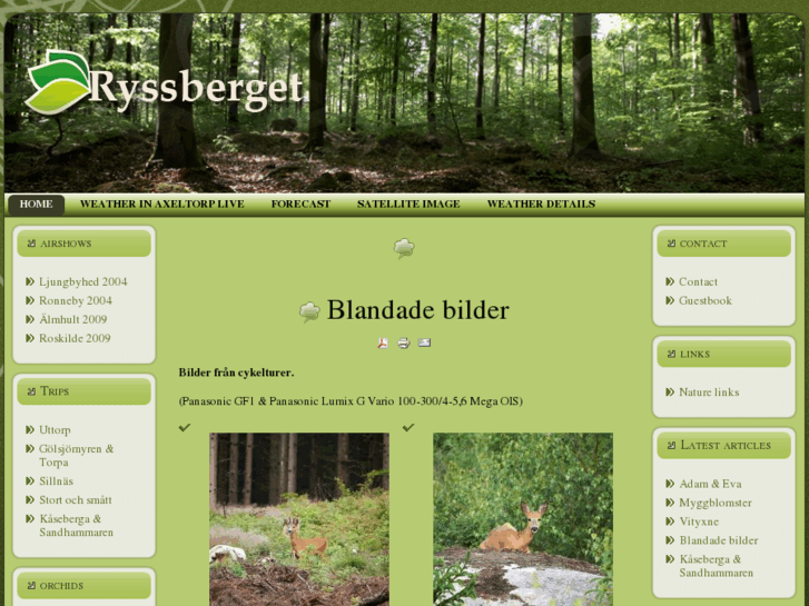 www.ryssberget.com