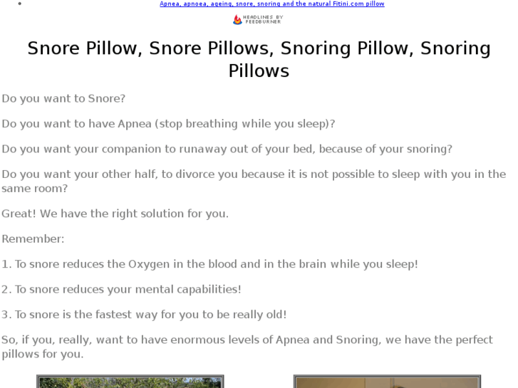 www.snore-pillow.com