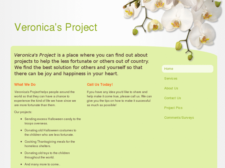 www.veronicasproject.com