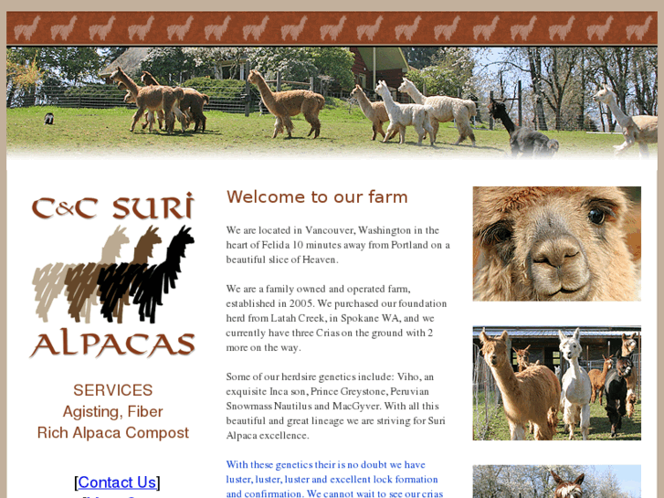 www.ccsurialpacas.com