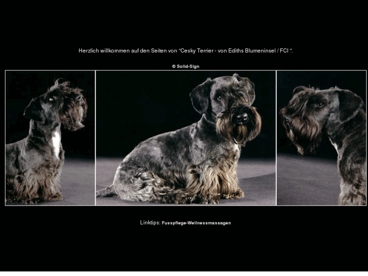 www.cesky-terrier-ediths-blumeninsel.de