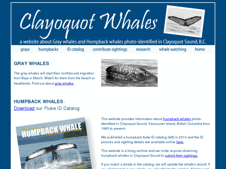 www.clayoquotwhales.ca