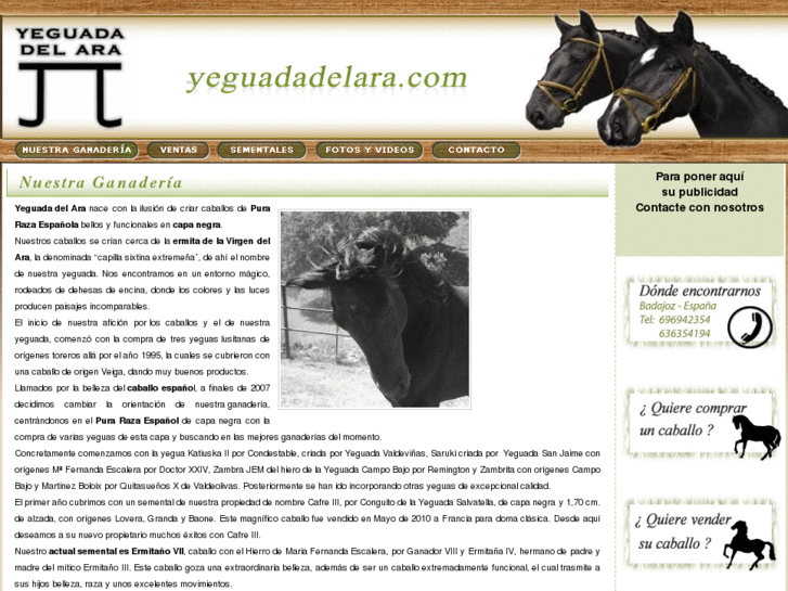www.compraventadecaballos.info