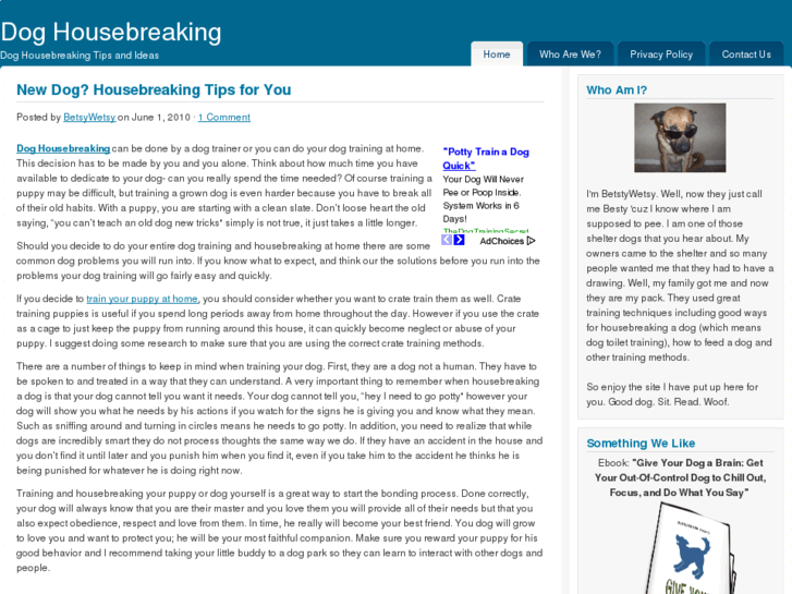 www.doghousebreaking.org