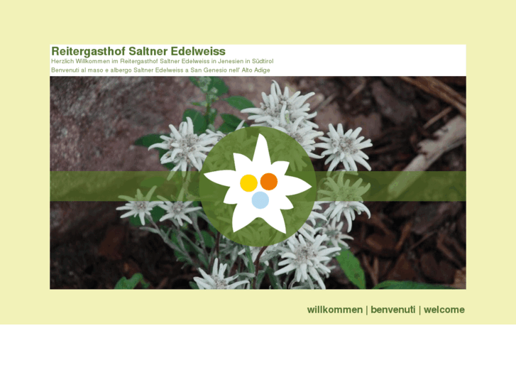 www.gasthof-edelweiss.com