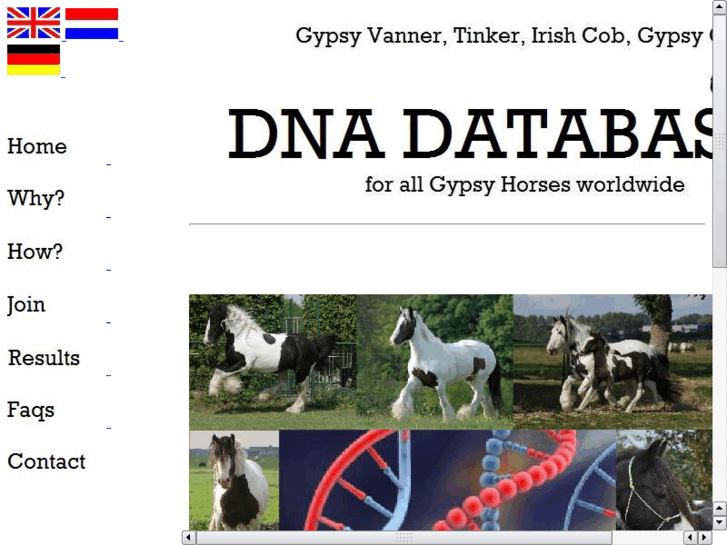 www.gypsyhorse-dna.com