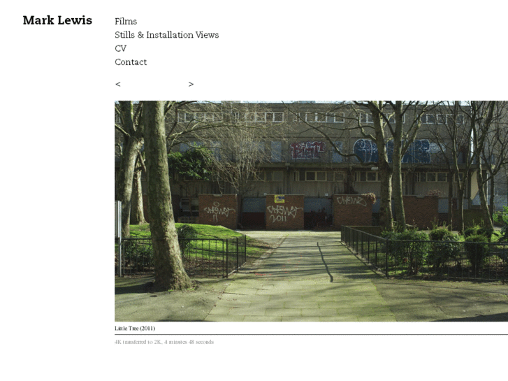 www.marklewisstudio.com