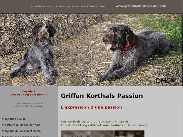 www.griffonkorthalspassion.com