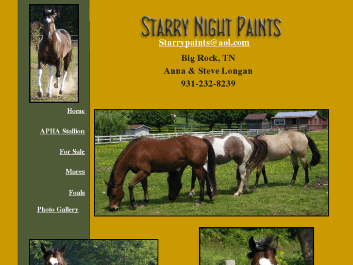 www.starrynightarabians.com