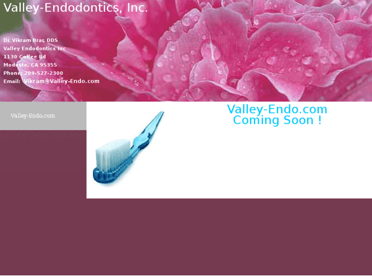 www.valley-endo.com