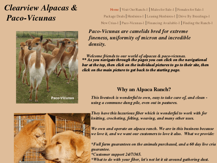 www.clearviewalpacas-paco-vicunas.com